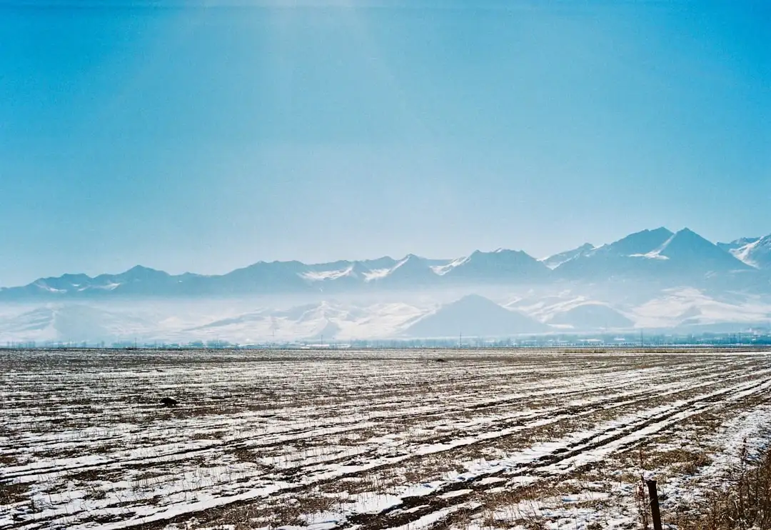 汽车脚垫材质升级趋势：四川万星拱月科技解析TPE与丝圈脚垫的适配场景正文配图 1